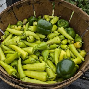 bushel of peppers